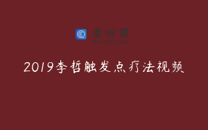 2019李哲触发点疗法视频
