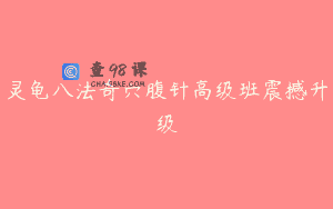 灵龟八法奇穴腹针高级班震撼升级