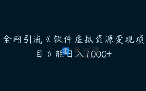 全网引流《软件虚拟资源变现项目》能日入1000+