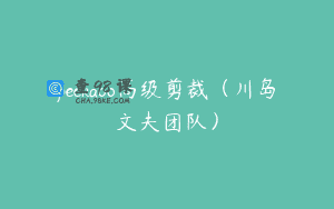 peekaoo高级剪裁（川岛文夫团队）