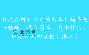 最适合新手小白的副业！薅羊毛+躺赚，操作简单，有手就行，轻松日入四位数【揭秘】