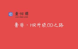 鲁非·HR升级OD之路