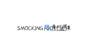 SMOCKING100针法课