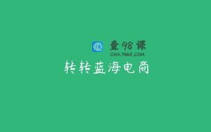 转转蓝海电商