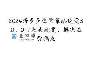 2024拼多多运营策略蜕变3.0，0-1完美蜕变，解决运营痛点
