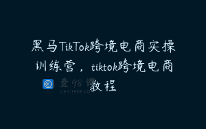 黑马TikTok跨境电商实操训练营，tiktok跨境电商教程
