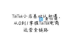 TikTok小店基础认知课，从0到1掌握TikTok电商运营全链路