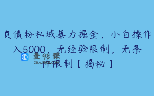 负债粉私域暴力掘金,小白操作入5000,无经验限制,无条件限制【揭秘】