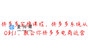 拼多多实操课程，拼多多系统从0到1，教会你拼多多电商运营