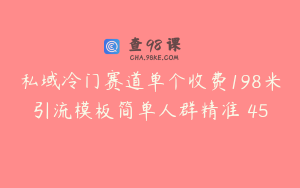 私域冷门赛道单个收费198米引流模板简单人群精准 45