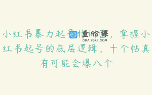 小红书暴力起号特训营，掌握小红书起号的底层逻辑，十个帖真有可能会爆八个