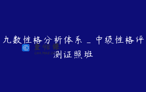九数性格分析体系_中级性格评测证照班