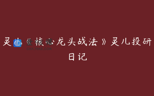灵儿《核心龙头战法》灵儿投研日记