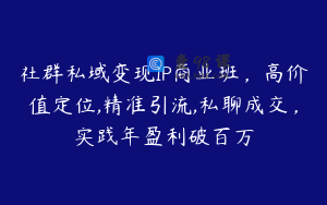 社群私域变现IP商业班，高价值定位,精准引流,私聊成交，实践年盈利破百万