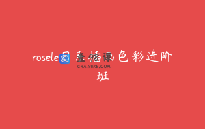 rosele日系插画色彩进阶班