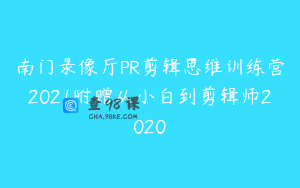 南门录像厅PR剪辑思维训练营2021附赠从小白到剪辑师2020