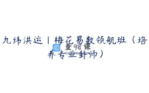 九纬洪运｜梅花易数领航班（培养专业卦师）