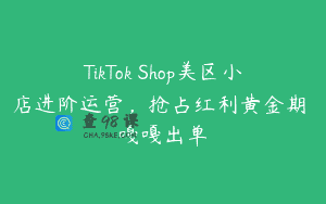 TikTok Shop美区小店进阶运营，抢占红利黄金期 嘎嘎出单