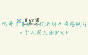 鸭哥《普通人打造明星质感照片》个人朋友圈IP优化