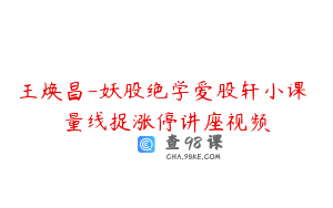王焕昌-妖股绝学爱股轩小课 量线捉涨停讲座视频