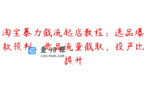 淘宝暴力截流起店教程：选品爆款预判，竞品流量截取，投产比提升