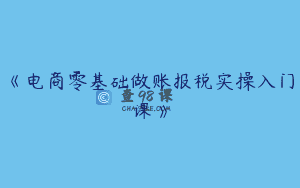《电商零基础做账报税实操入门课》