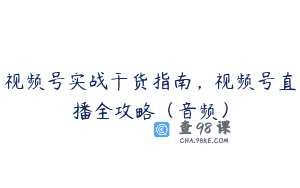 视频号实战干货指南，视频号直播全攻略（音频）