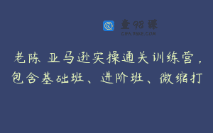 老陈・亚马逊实操通关训练营，包含基础班、进阶班、微缩打