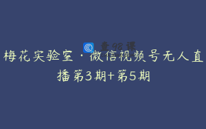 梅花实验室·微信视频号无人直播第3期+第5期