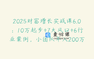 2025财富增长实战课6.0：10万起步+7大风口+6行业案例，小团队年入200万