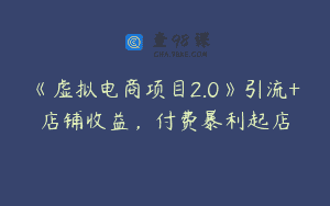 《虚拟电商项目2.0》引流+店铺收益，付费暴利起店