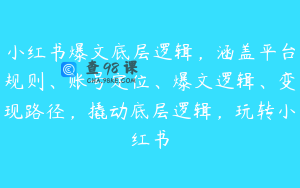 小红书爆文底层逻辑，涵盖平台规则、账号定位、爆文逻辑、变现路径，撬动底层逻辑，玩转小红书