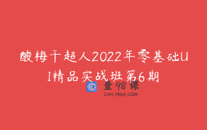 酸梅干超人2022年零基础UI精品实战班第6期