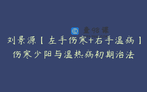 刘景源【左手伤寒+右手温病】伤寒少阳与温热病初期治法