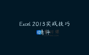 Excel 2013实战技巧精粹
