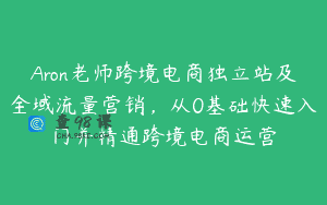 Aron老师跨境电商独立站及全域流量营销，从0基础快速入门并精通跨境电商运营