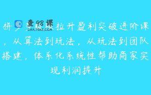 拼多多极限拉升盈利突破进阶课，从算法到玩法，从玩法到团队搭建，体系化系统性帮助商家实现利润提升