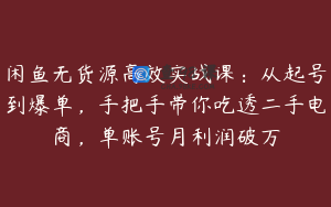 闲鱼无货源高效实战课：从起号到爆单，手把手带你吃透二手电商，单账号月利润破万
