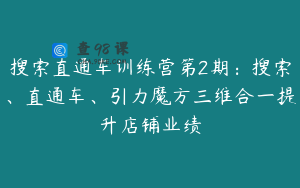 搜索直通车训练营第2期：搜索、直通车、引力魔方三维合一提升店铺业绩