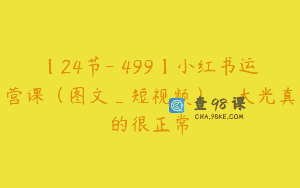 【24节-￥499】小红书运营课（图文_短视频）_大光真的很正常