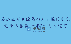 君志生财真经第四关：偏门小众电子书售卖 一单2元月入过万