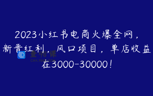 2023小红书电商火爆全网，新晋红利，风口项目，单店收益在3000-30000！