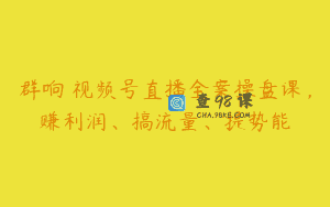 群响・视频号直播全案操盘课，赚利润、搞流量、提势能