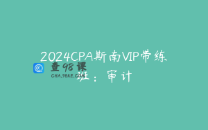 2024CPA斯南VIP带练班：审计