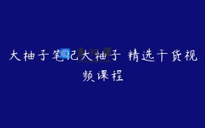 大柚子笔记大柚子 精选干货视频课程