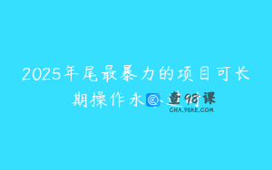 2025年尾最暴力的项目可长期操作永不过时