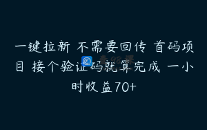 一键拉新 不需要回传 首码项目 接个验证码就算完成 一小时收益70+