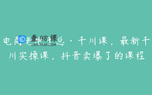 电商老炮于总·千川课，最新千川实操课，抖音卖爆了的课程