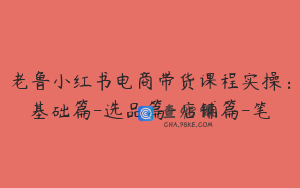 老鲁小红书电商带货课程实操：基础篇-选品篇-店铺篇-笔