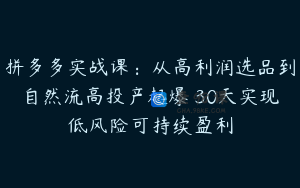 拼多多实战课：从高利润选品到自然流高投产起爆 30天实现低风险可持续盈利